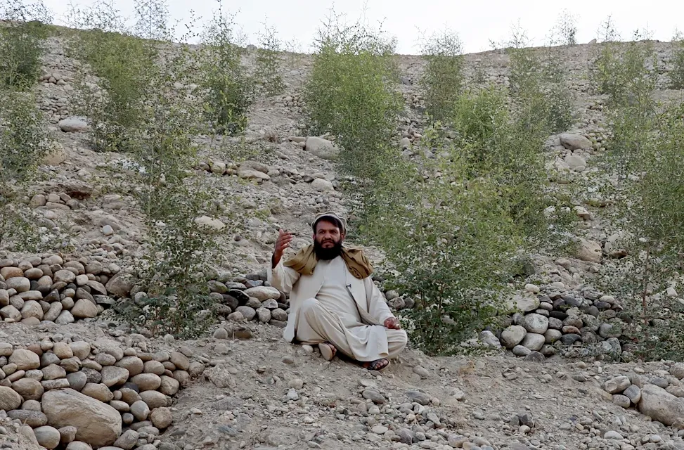 Man in traditional Afghan attire sits on a rocky hillside surrounded by small green plants, gesturing as he speaks