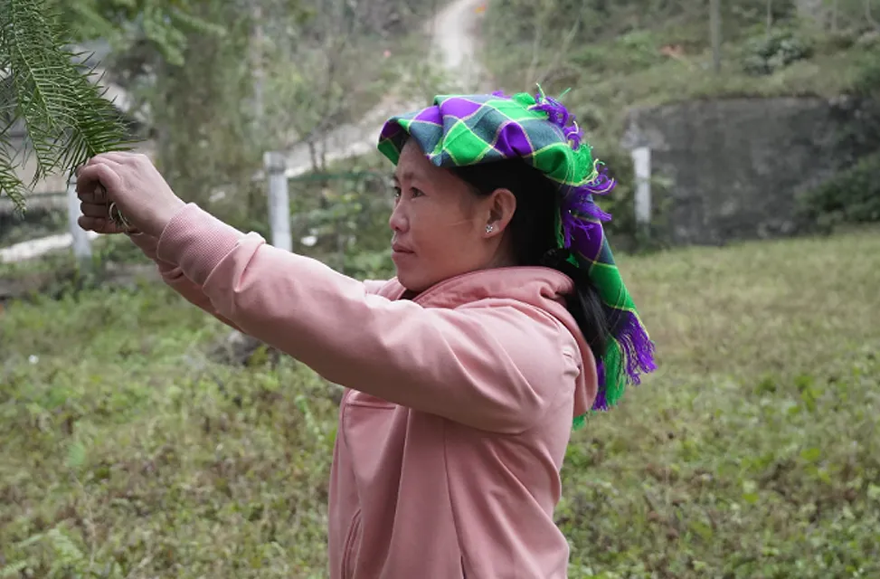 A woman with a green headscarf touches a branch on a tree, with a green landscape behind her.