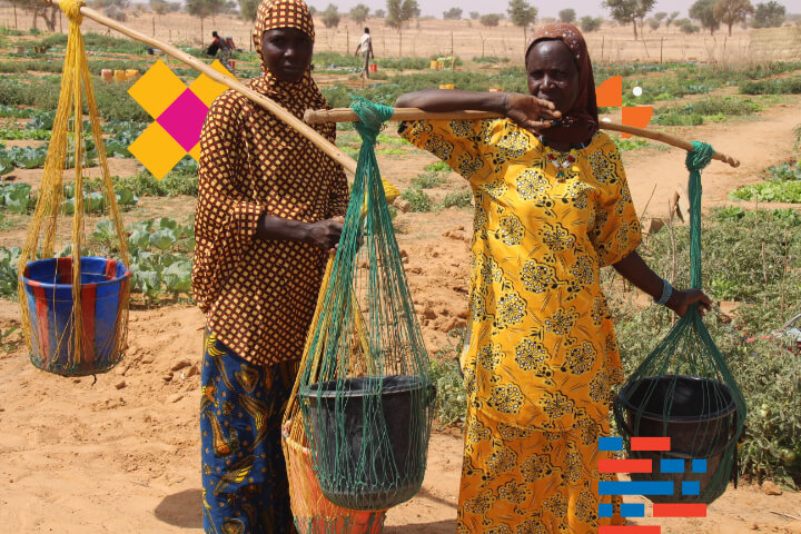 Two women outside on a small farm watering their crops in Niger