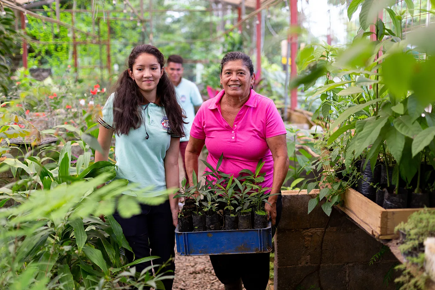 Tres personas trabajan en un jardín; una mujer sostiene una bandeja con plantas verdes.