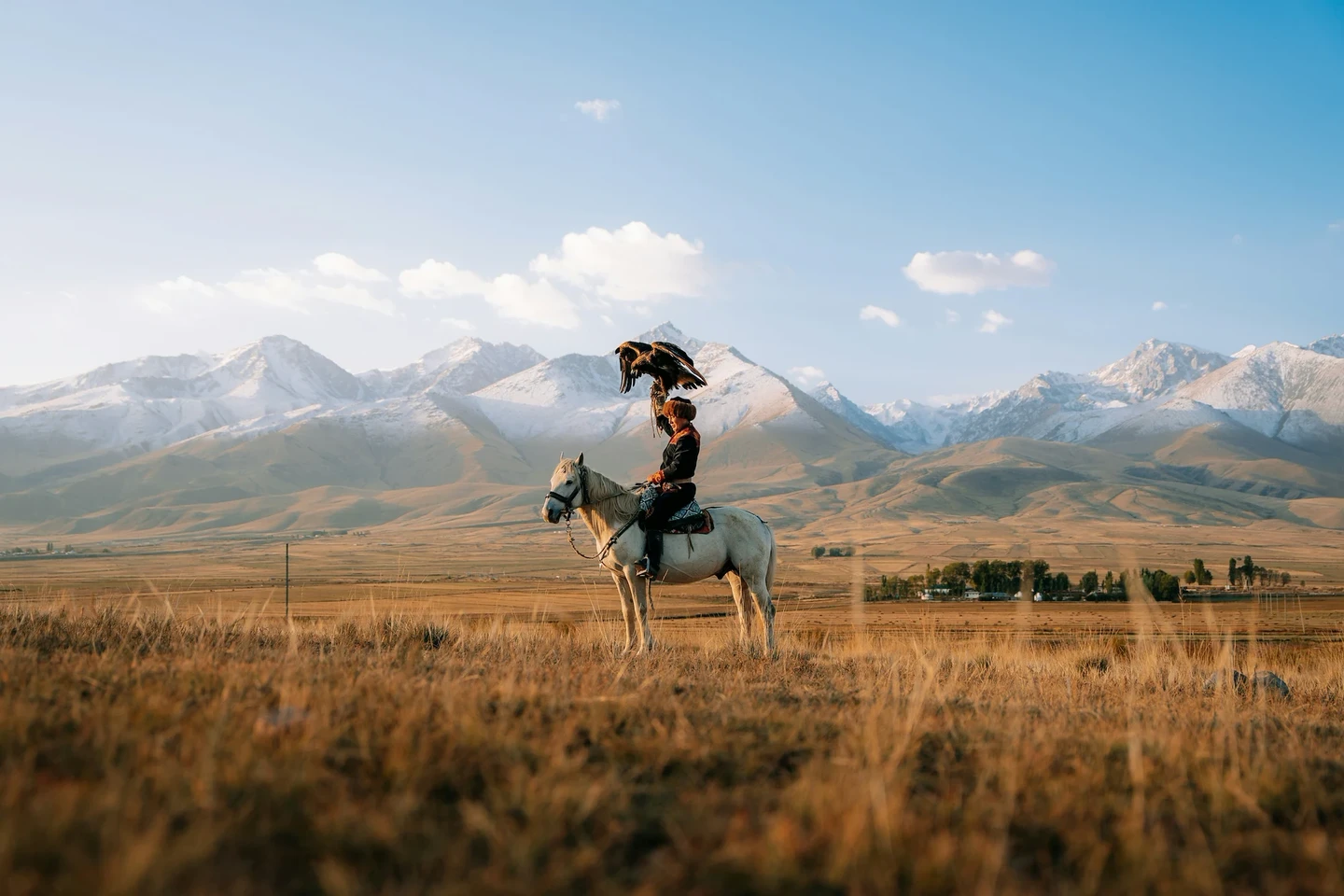 Eagle hunter on horseback against snow-capped mountains